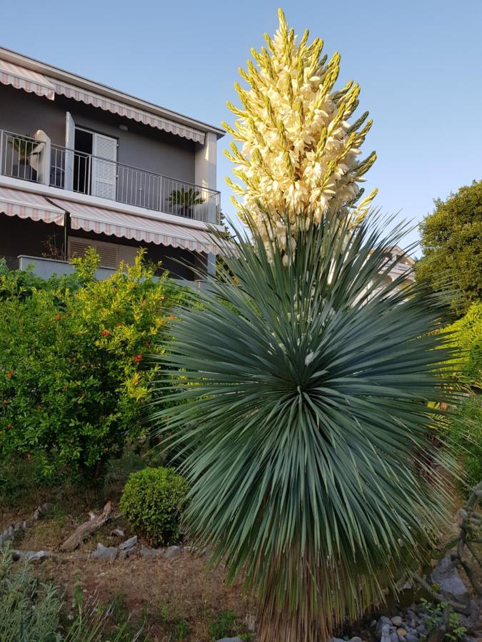 House Diana Dramalj Exterior foto
